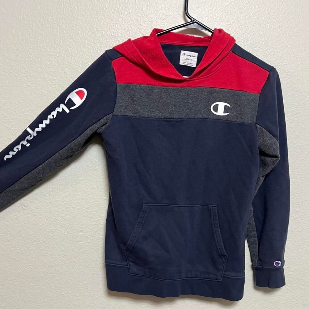 Champion Men's Navy and Red Hoodie